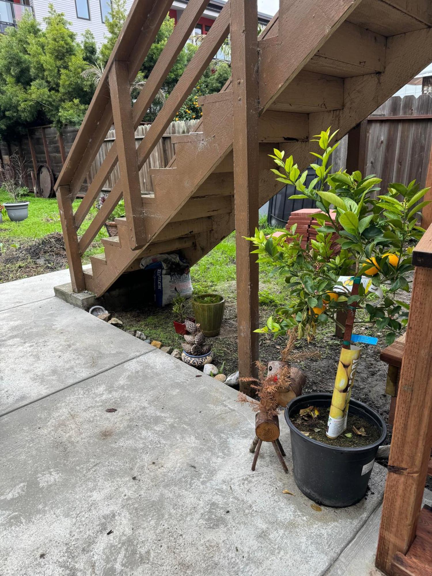 Ferienwohnung Bumblebee House Oakland Exterior foto